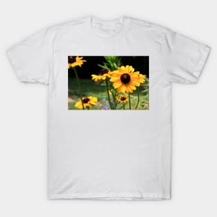 Black Eyed Susan's T-Shirt